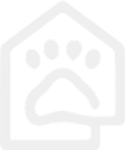 Haufschildt Katzenbetreuung